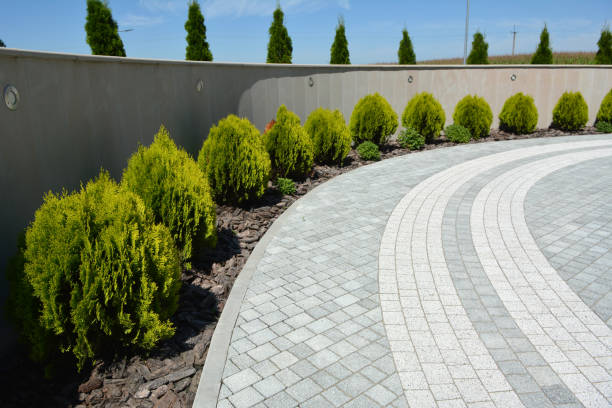  Springdale, NC Driveway Pavers Pros